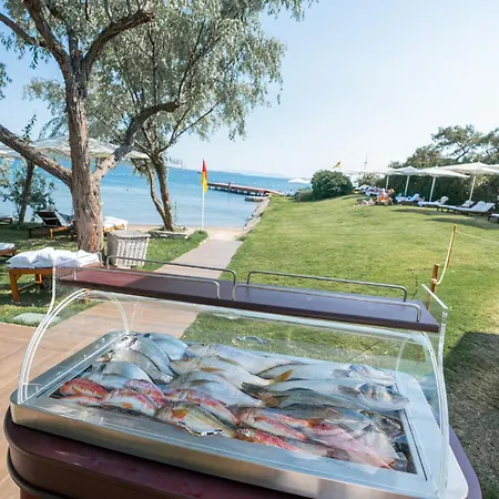 Ortunc - Cunda Island (adults Only) Ayvalik