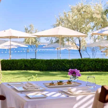 Ortunc - Cunda Island (adults Only) Hotel