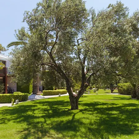 Ortunc - Cunda Island (adults Only) Ayvalik