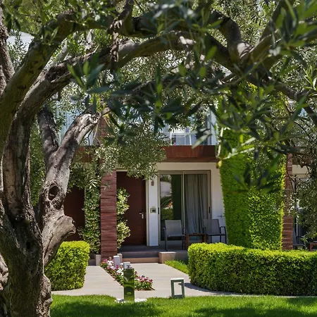 Ortunc - Cunda Island (adults Only) 호텔 4*